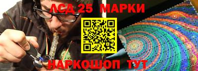 индика Ливны