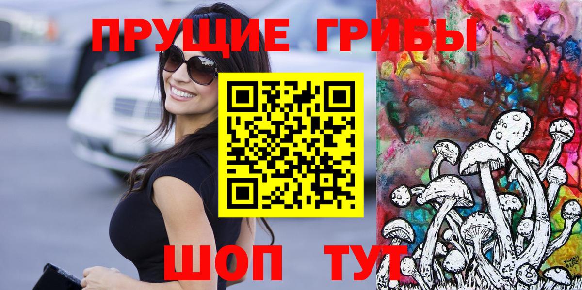 Псилоцибиновые грибы GOLDEN TEACHER Электросталь
