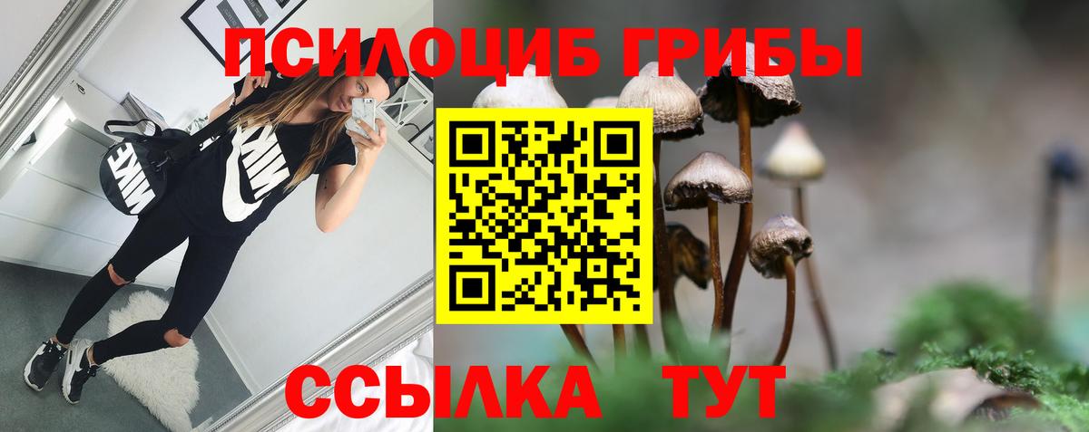 Электросталь  Псилоцибиновые грибы мухоморы  Вход с VPN 